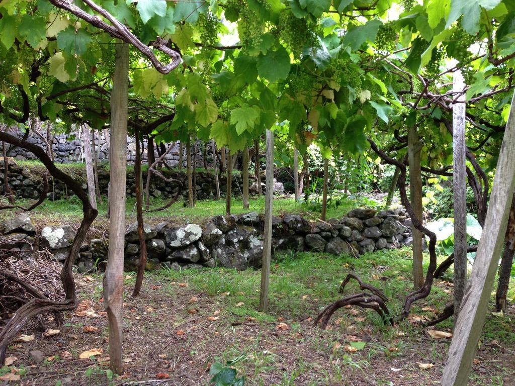 Holidays Madeira Sao Vicente  Ngoại thất bức ảnh